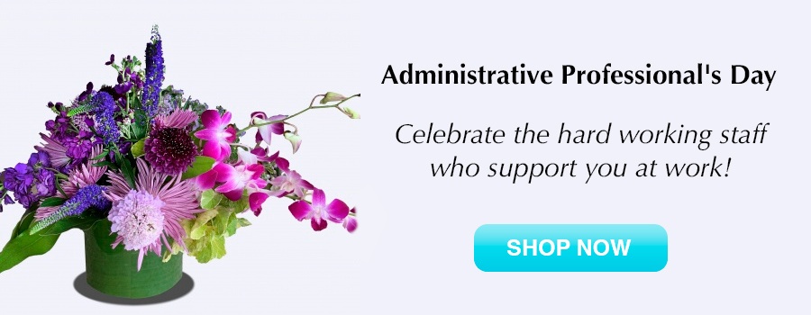 Administrative Professionals