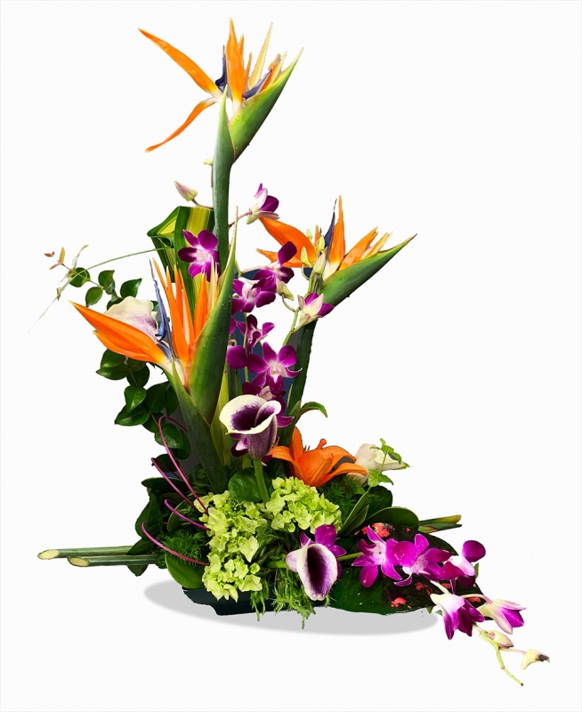 Christie's Flowers & Gifts - Naples, Florida - Flower Shop Serving ...