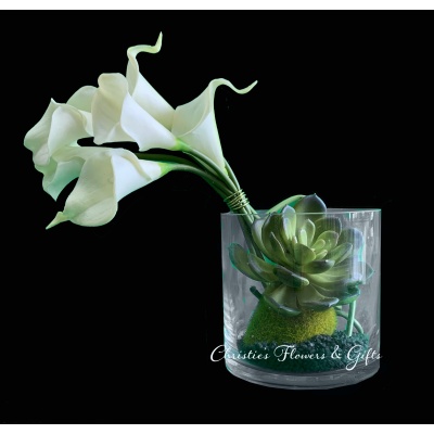 Calla and Succulents