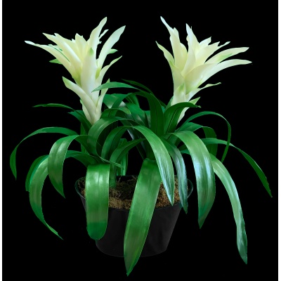 Double Faux Bromiliad