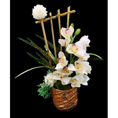 Golden Bamboo Orchids