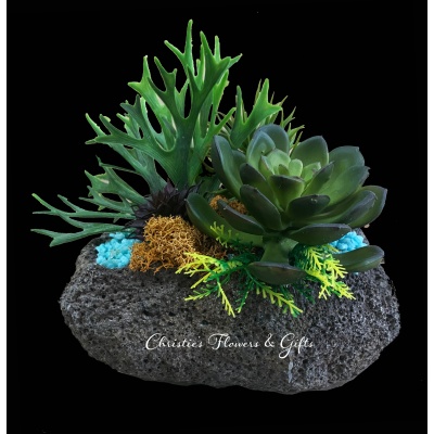 Lava Rock Succulent Arrangement