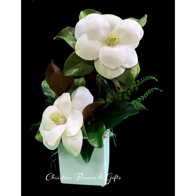 Magnificent Magnolia