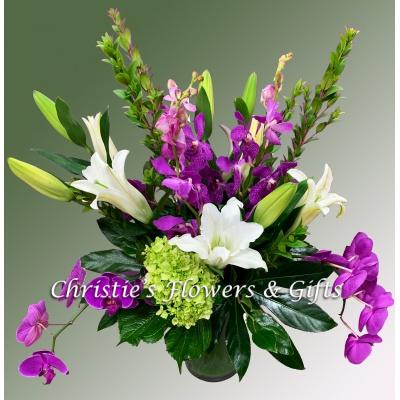 Fresh Orchid