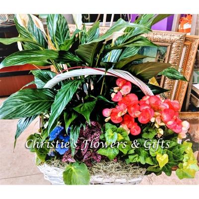 Spring Garden Basket