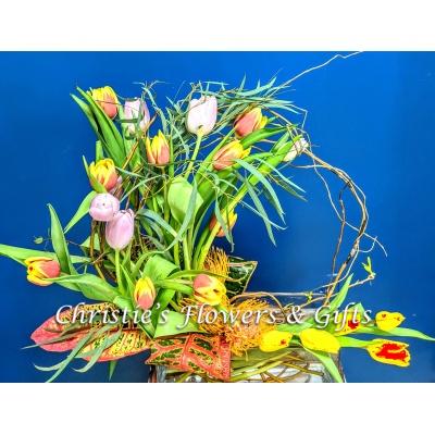 Spring Tulip Serenade