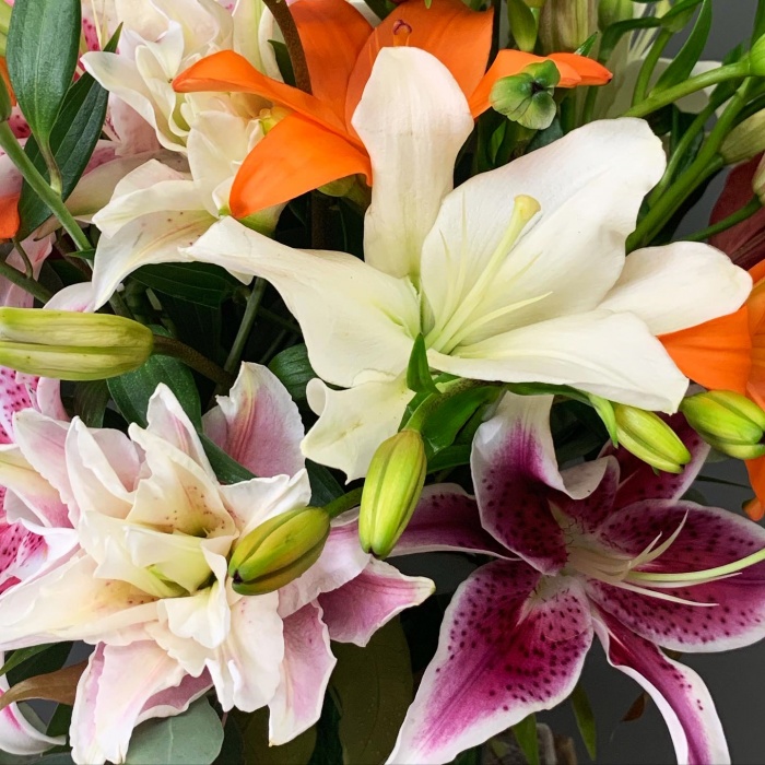 Lush Lilies