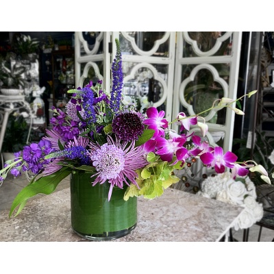 Purple Passion