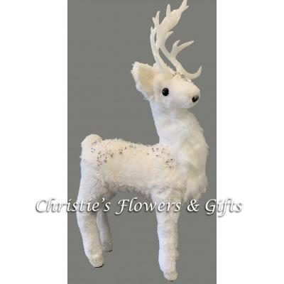 Reindeer