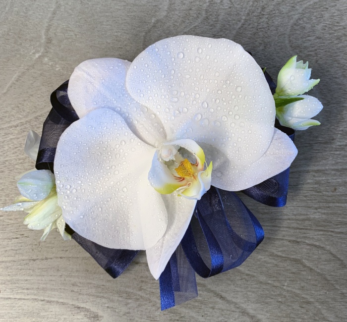 A Matching Set - Phalaenopsis Orchids