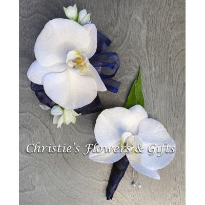 A Matching Set - Phalaenopsis Orchids