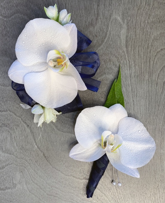 A Matching Set - Phalaenopsis Orchids