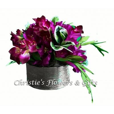Shining Bourgainvillea