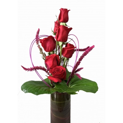 Expressions of love - 1/2 Dozen  Premium Long Stem Roses-modern design