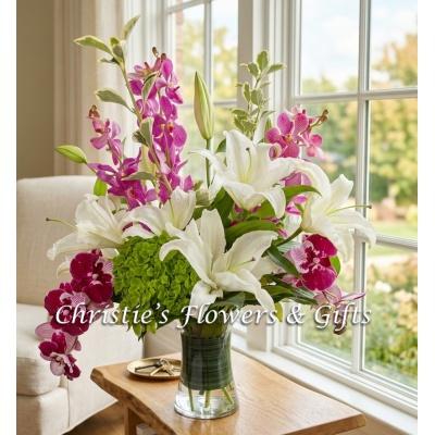 Fresh Orchid