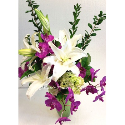 Fresh Orchid