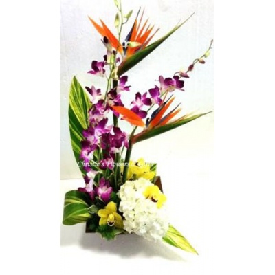 Orchids in Flight