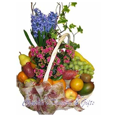 The Freshness Basket