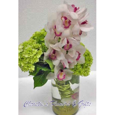 Spectacular Cymbidiums