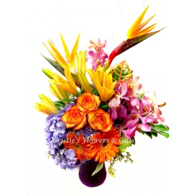 Tropical Fall