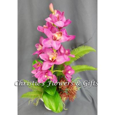 Succulent Fuschia