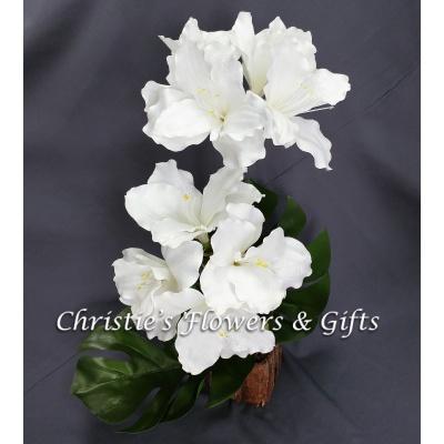 Majestic White Amaryllis