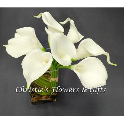 Crystal Callas