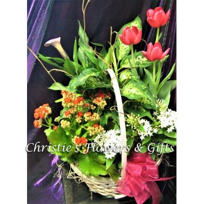 Spring Garden Basket Collection