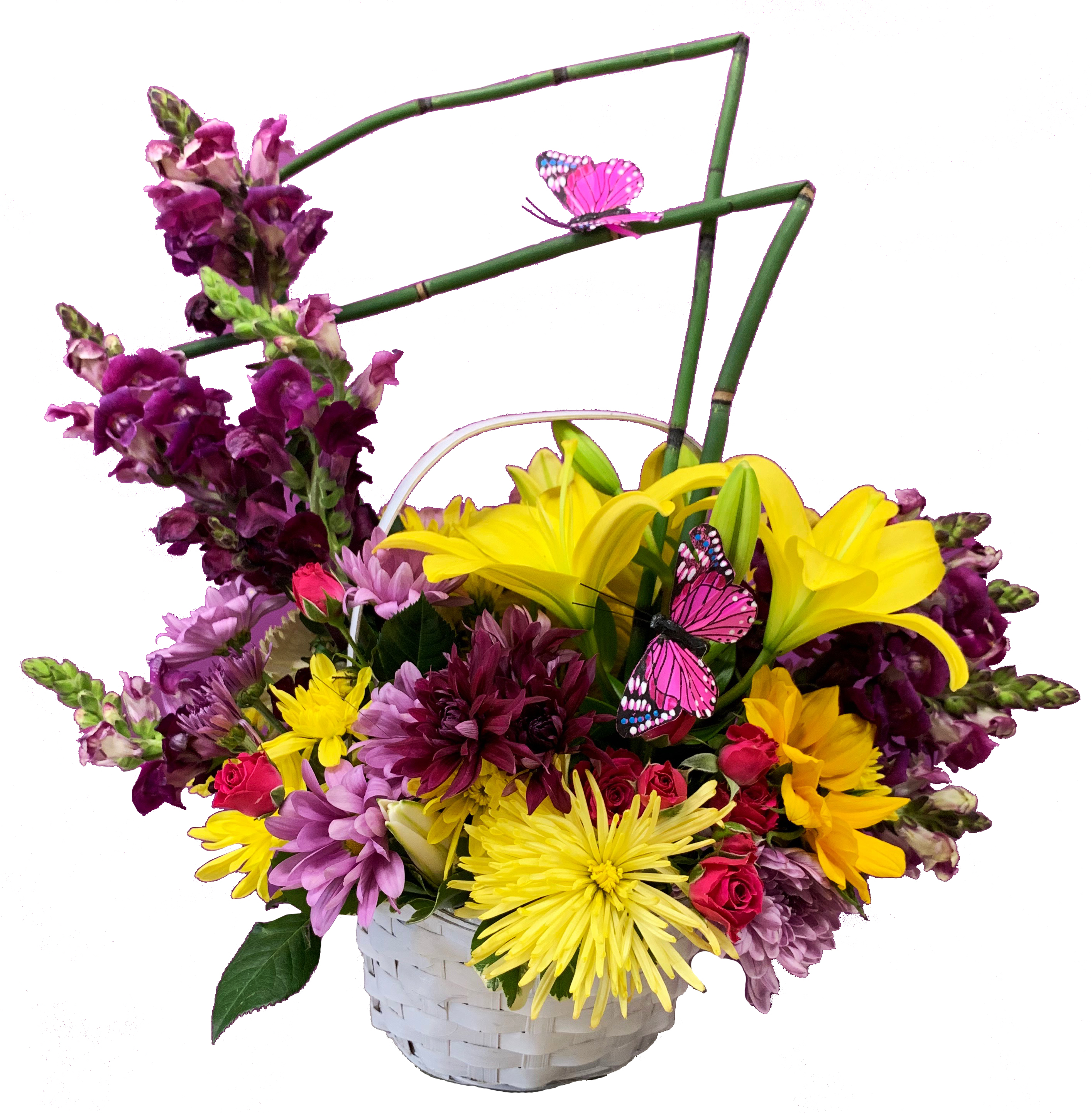 Butterfly Basket