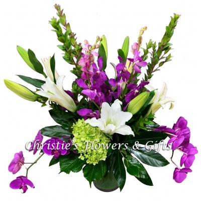 Fresh Orchid