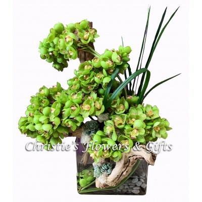 Silk Green Cymbidium Orchid