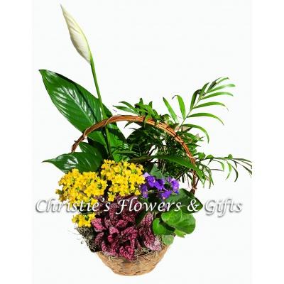 Mother\'s Day Basket